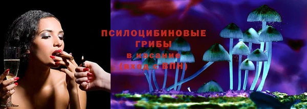 spice Богородицк