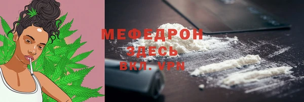 spice Богородицк