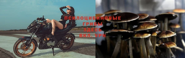 метадон Беломорск