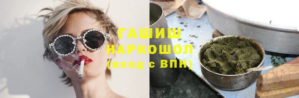 spice Богородицк