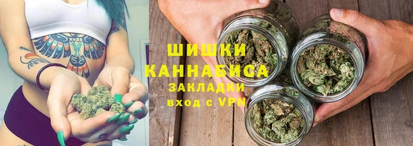 spice Богородицк
