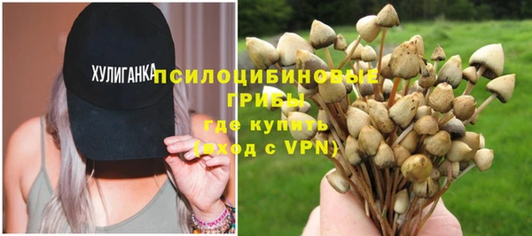кокаин перу Богданович