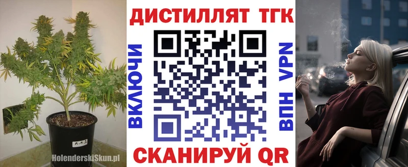 где купить   Волжск  ТГК гашишное масло 