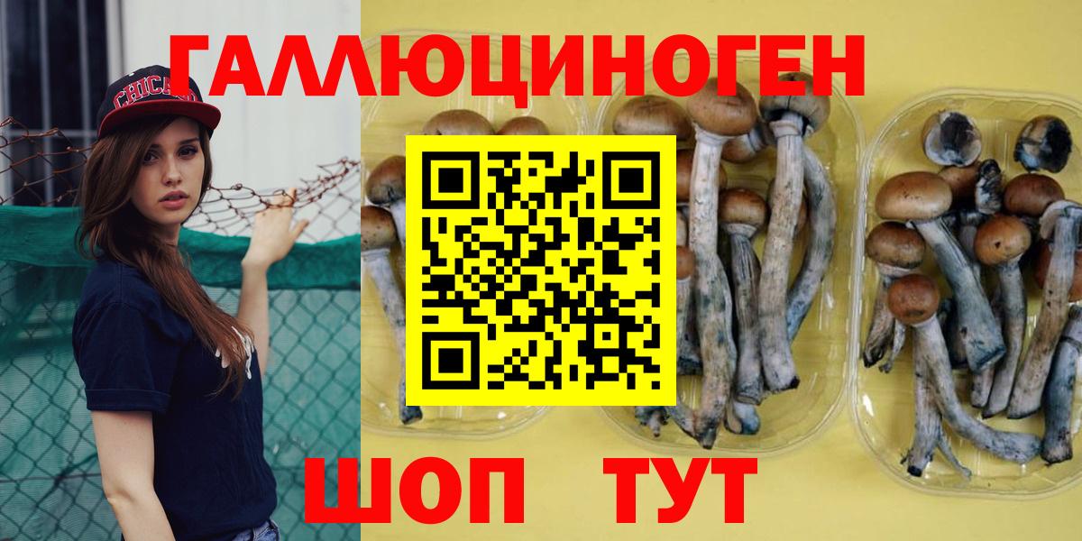 Псилоцибиновые грибы GOLDEN TEACHER Волжск